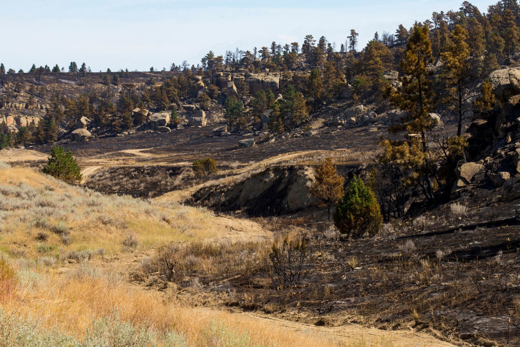 Mountain View fire